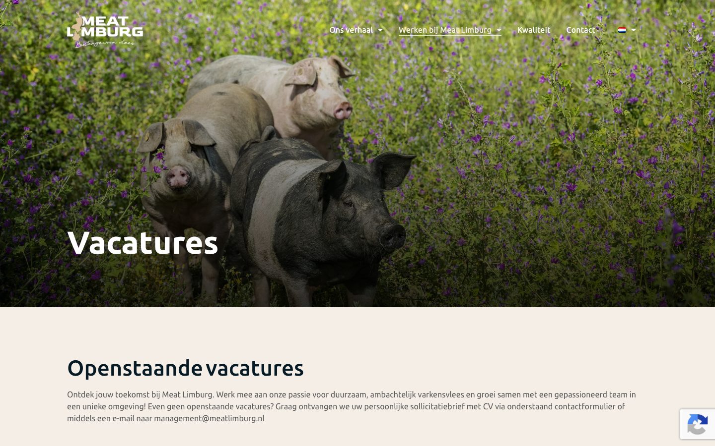 Pagina "Vacatures"